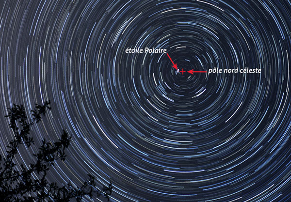 Photo montrant des arcs de cercles centrés sur un même point : il s'agit d'une photo à longue pose qui met en évidence le mouvement circulaire des étoiles. En bas à gauche, les branches d'un arbre.